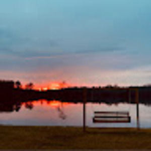 Meet your Posher, Abigail